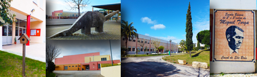 ESCOLA EB 2,3 DE MIGUEL TORGA
